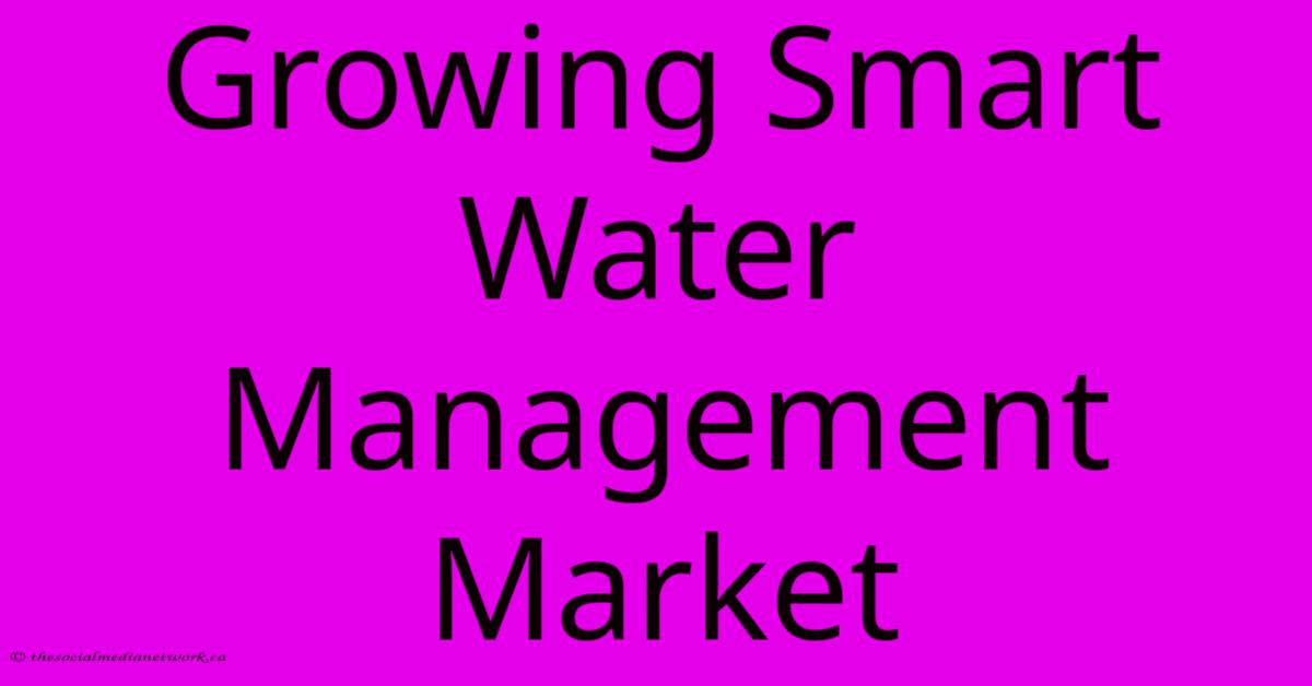 Growing Smart Water Management Market Growing Smart Water Management Market