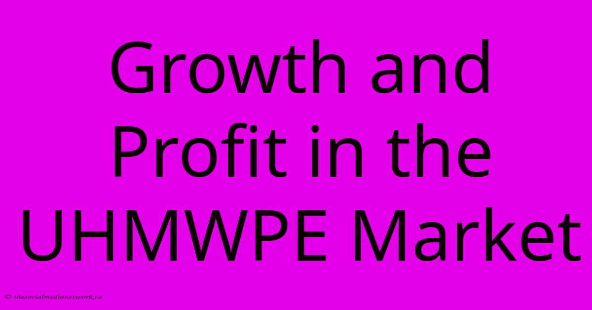 Growth And Profit In The UHMWPE Market Growth And Profit In The UHMWPE Market