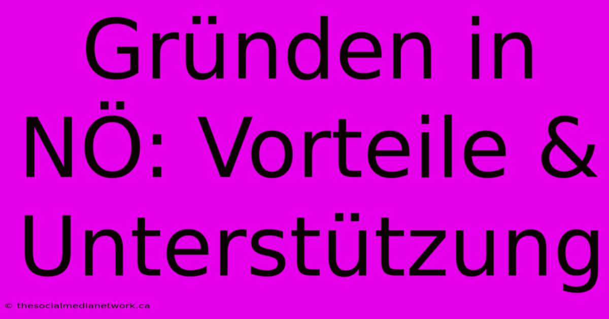 Gründen In NÖ: Vorteile & Unterstützung