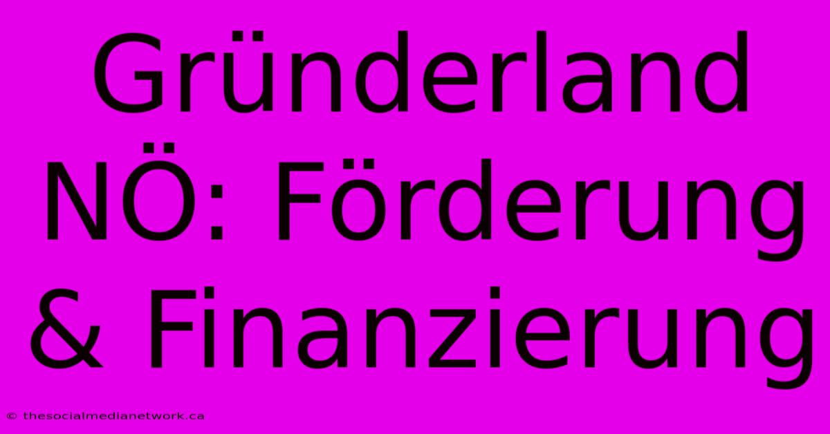 Gründerland NÖ: Förderung & Finanzierung