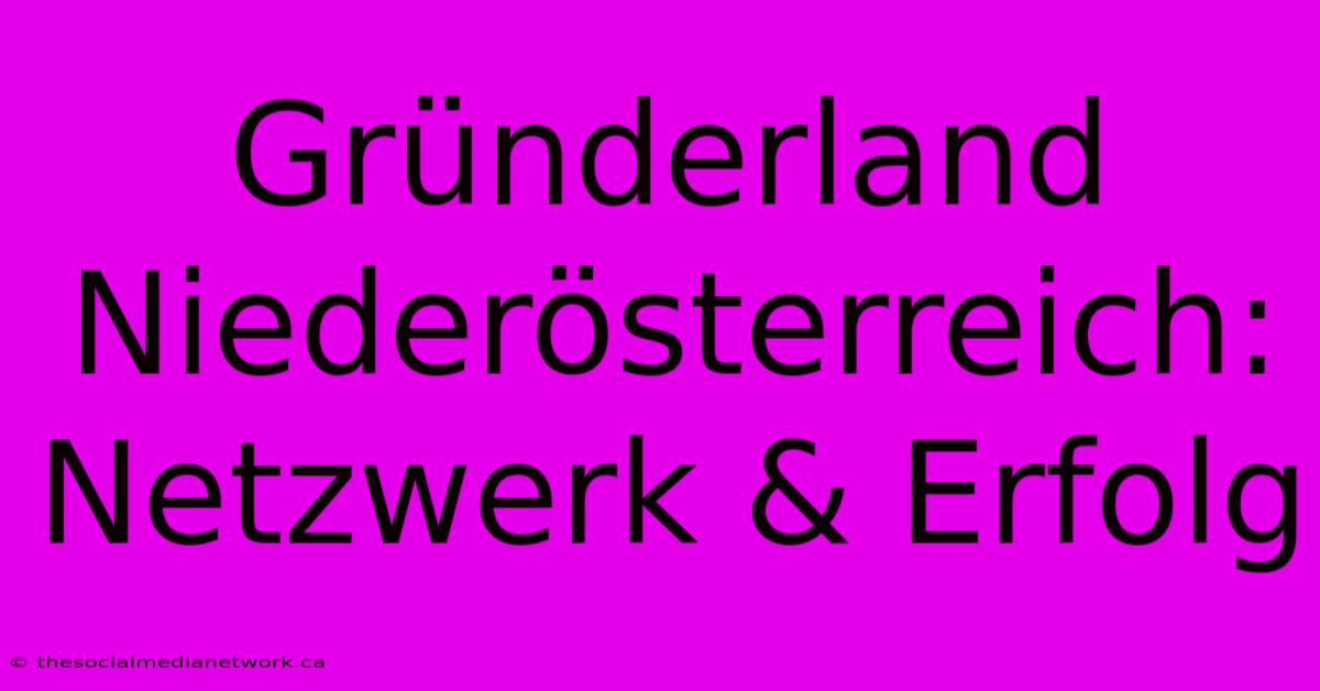 Gründerland Niederösterreich: Netzwerk & Erfolg