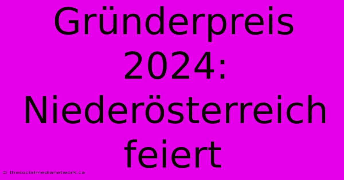 Gründerpreis 2024: Niederösterreich Feiert