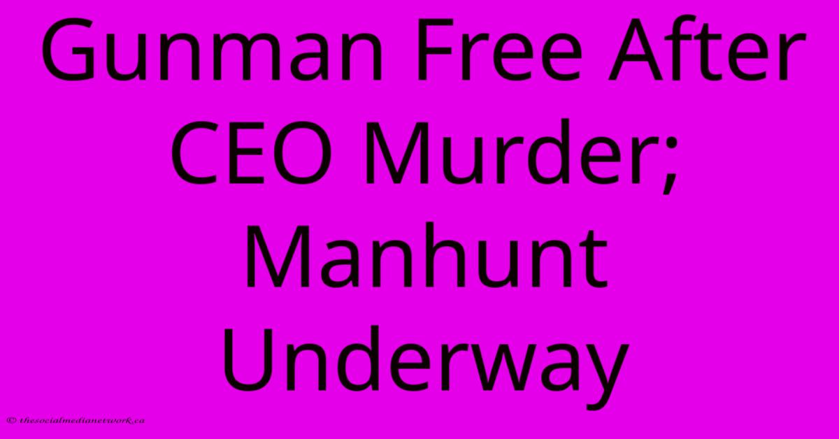 Gunman Free After CEO Murder; Manhunt Underway