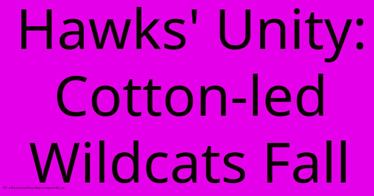 Hawks' Unity: Cotton-led Wildcats Fall Hawks' Unity: Cotton-led Wildcats Fall