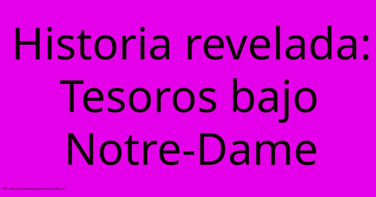 Historia Revelada: Tesoros Bajo Notre-Dame Historia Revelada: Tesoros Bajo Notre-Dame
