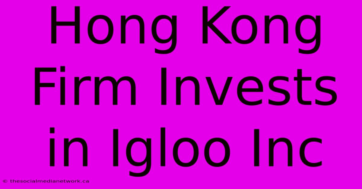 Hong Kong Firm Invests In Igloo Inc