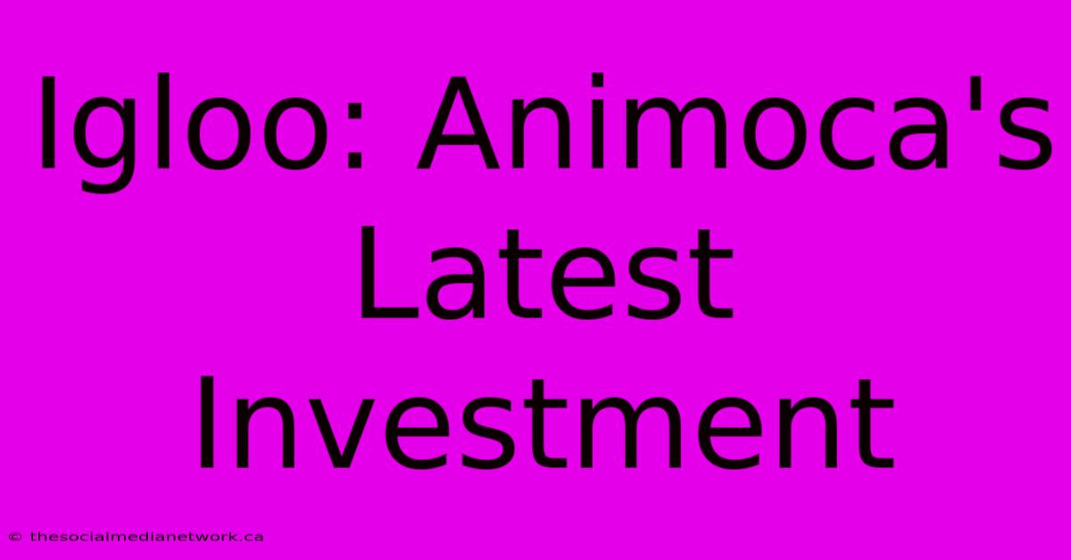 Igloo: Animoca's Latest Investment