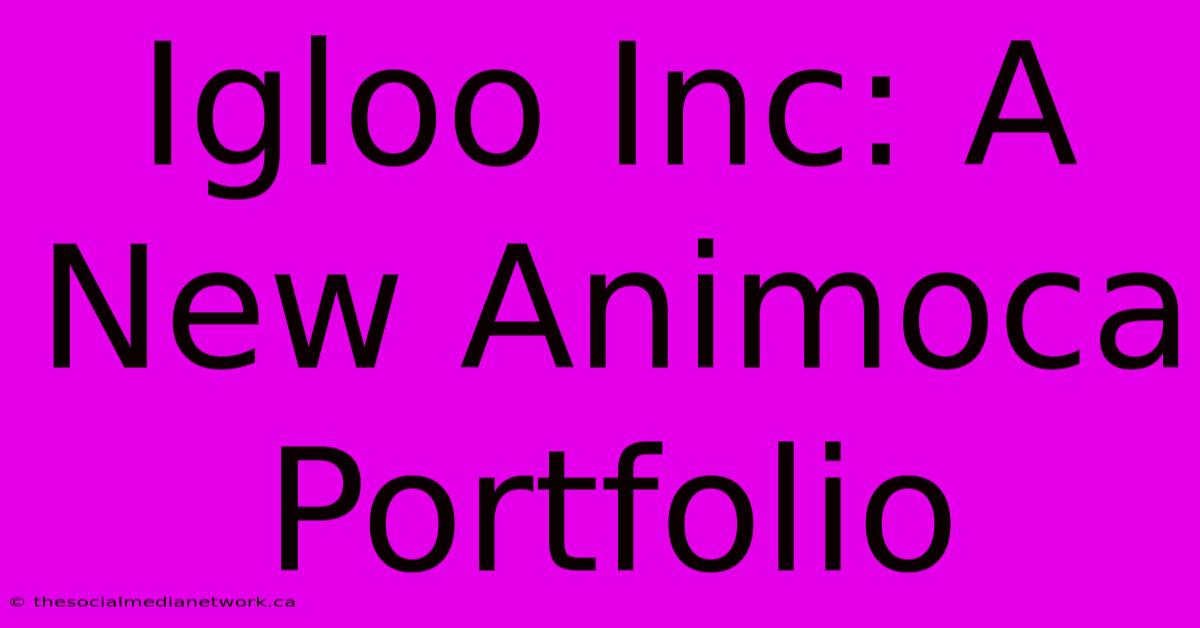 Igloo Inc: A New Animoca Portfolio