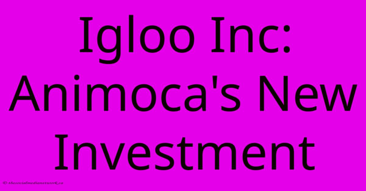 Igloo Inc: Animoca's New Investment