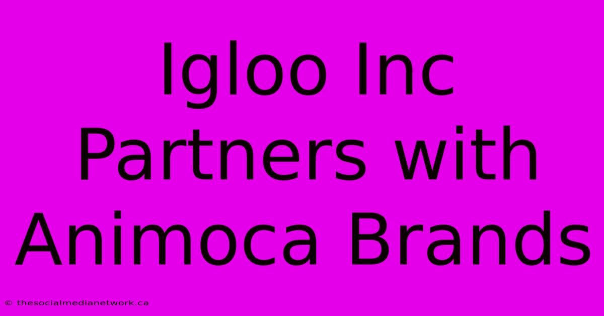 Igloo Inc Partners With Animoca Brands