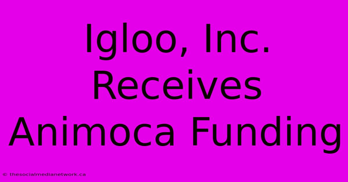 Igloo, Inc. Receives Animoca Funding