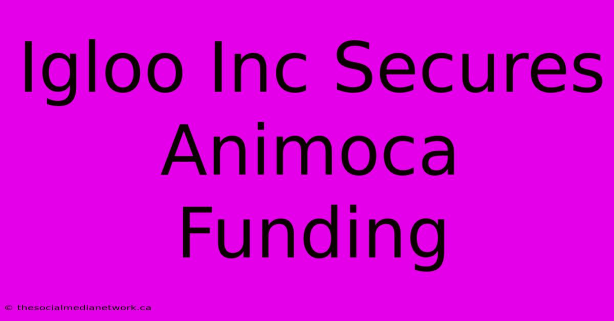 Igloo Inc Secures Animoca Funding