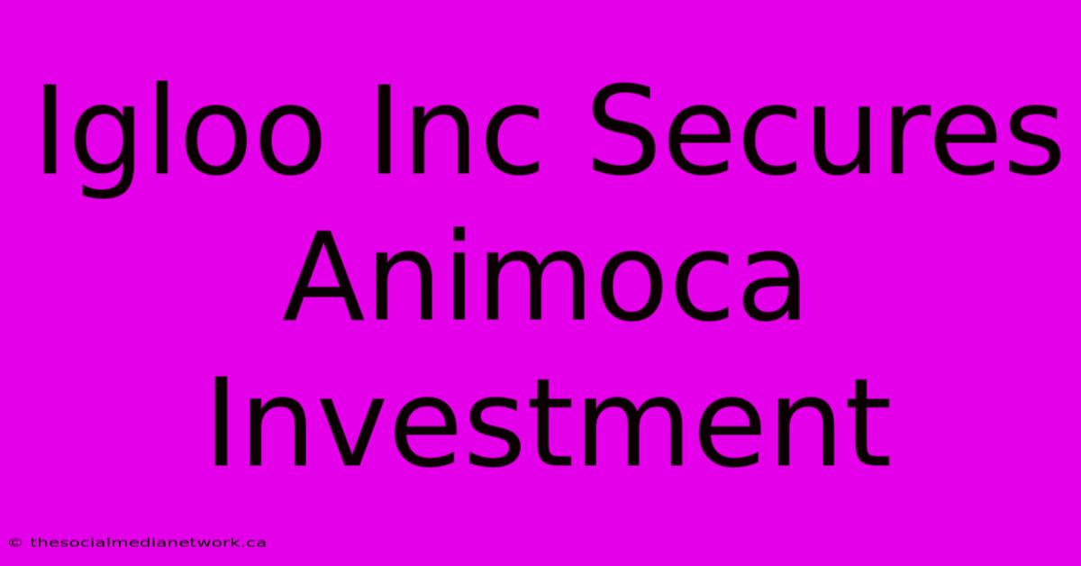 Igloo Inc Secures Animoca Investment