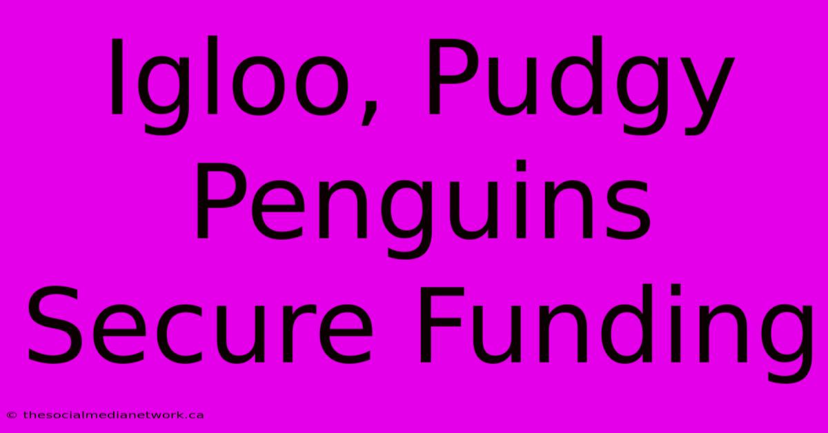 Igloo, Pudgy Penguins Secure Funding