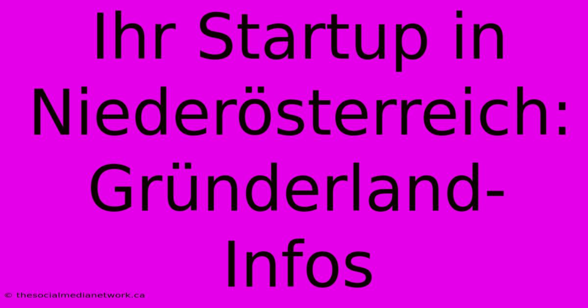 Ihr Startup In Niederösterreich: Gründerland-Infos