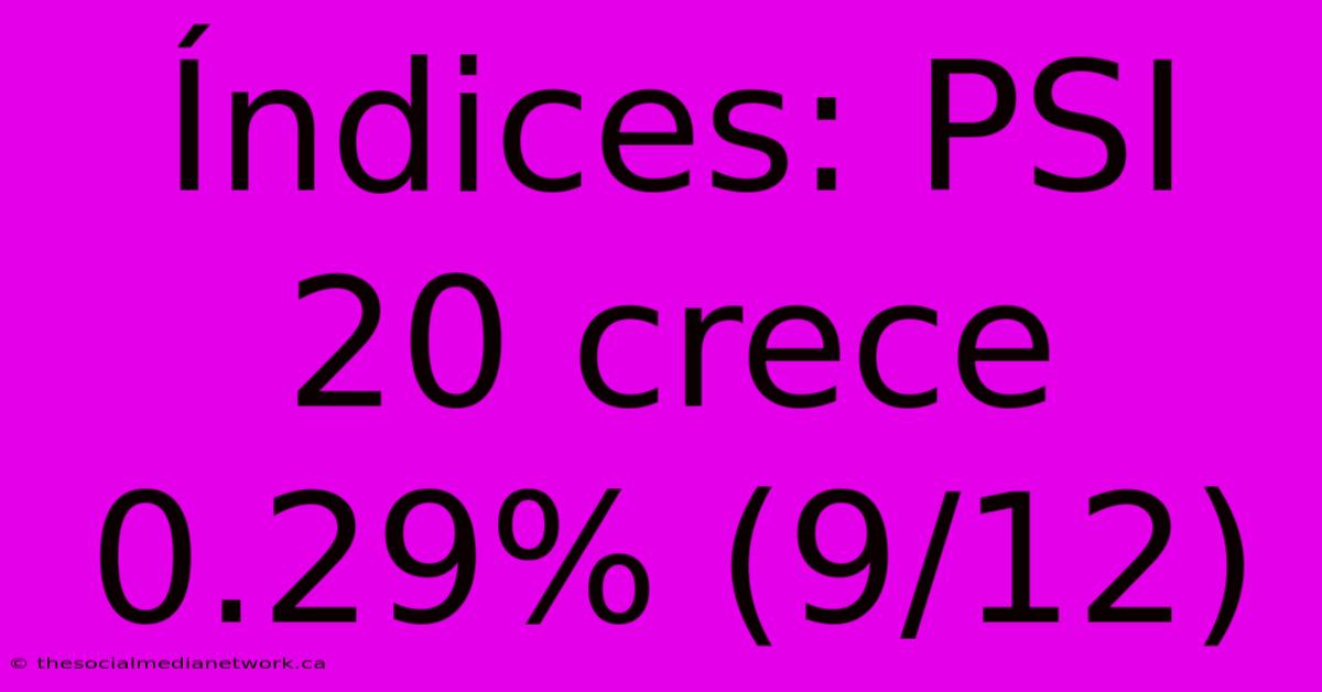 Índices: PSI 20 Crece 0.29% (9/12)