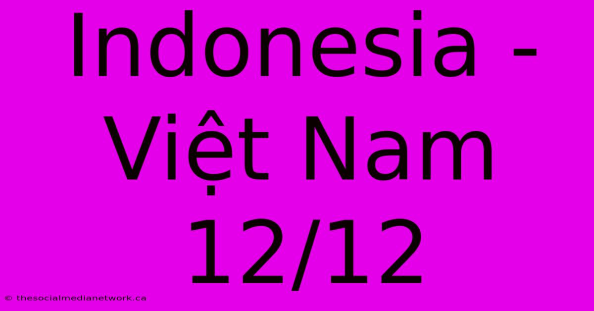 Indonesia - Việt Nam 12/12