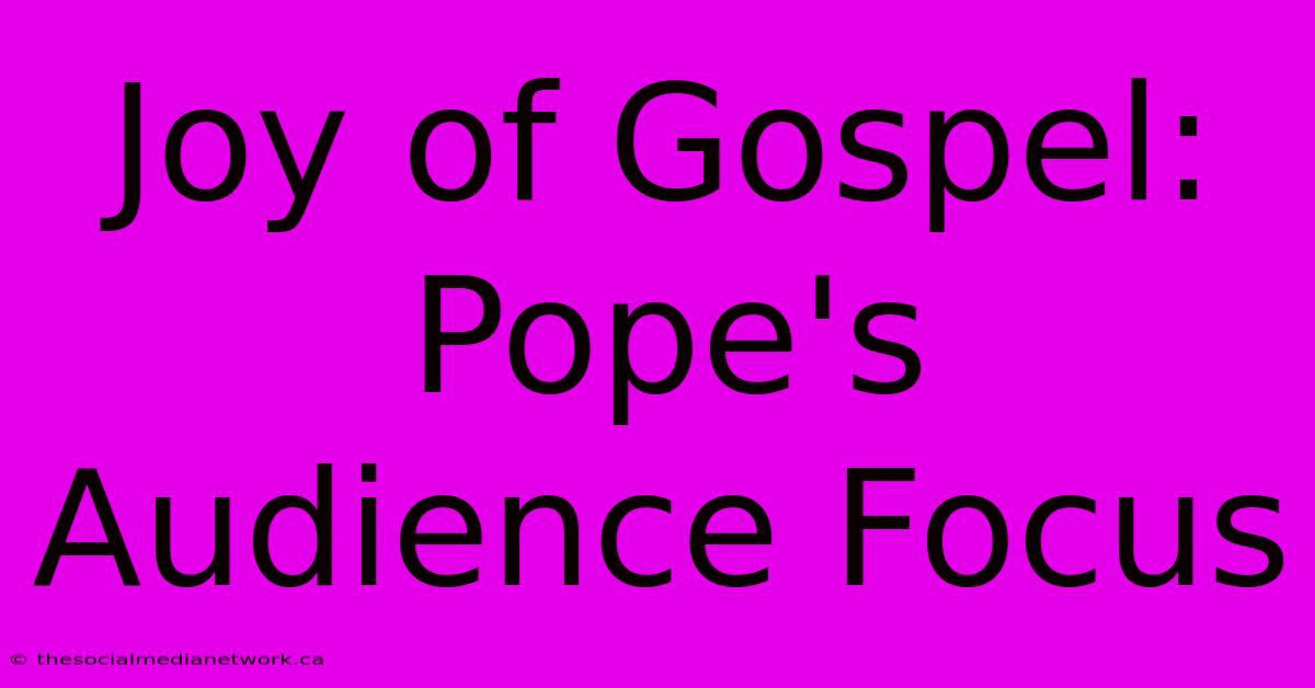 Joy Of Gospel: Pope's Audience Focus