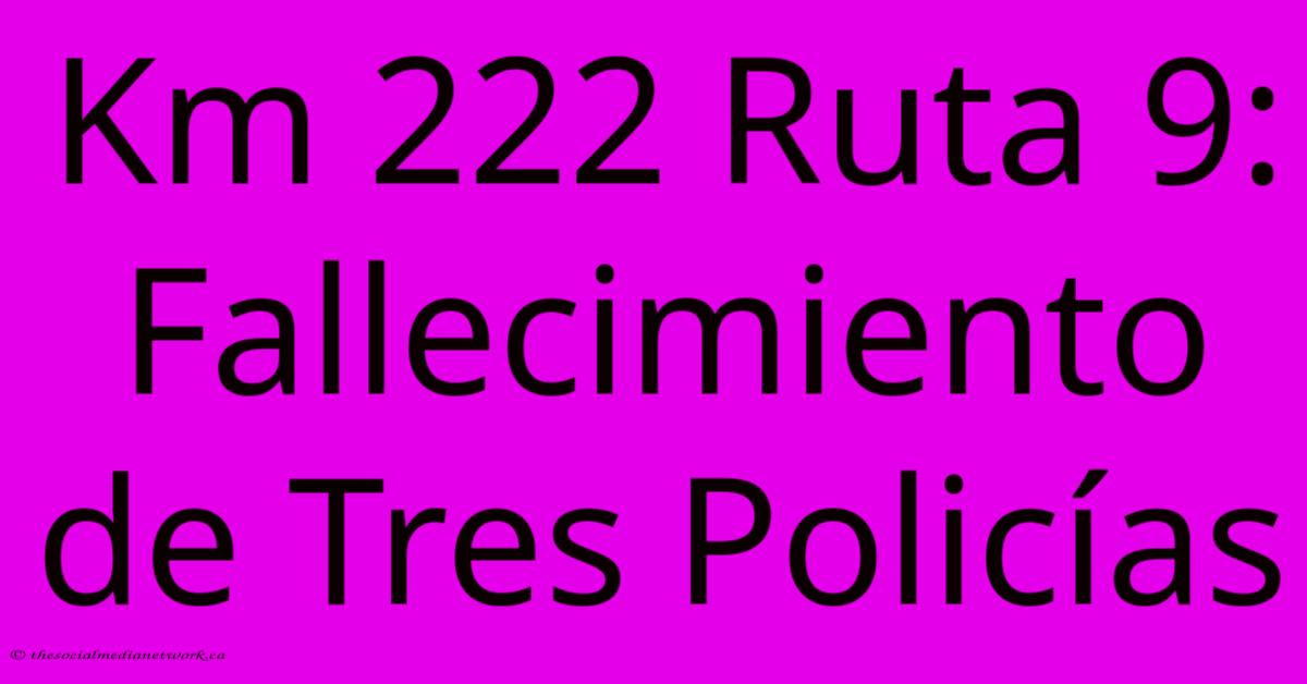 Km 222 Ruta 9: Fallecimiento De Tres Policías Km 222 Ruta 9: Fallecimiento De Tres Policías