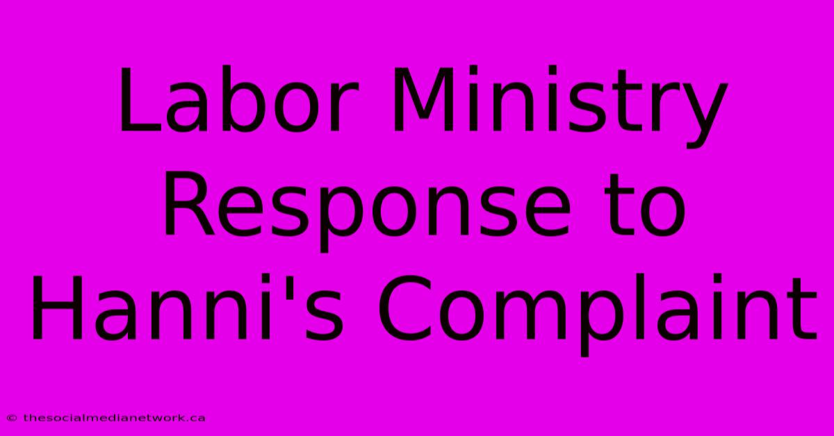 Labor Ministry Response To Hanni's Complaint