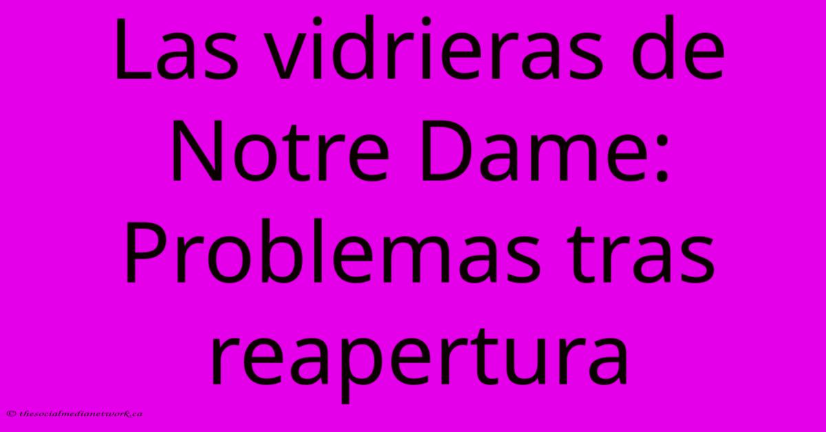Las Vidrieras De Notre Dame: Problemas Tras Reapertura Las Vidrieras De Notre Dame: Problemas Tras Reapertura