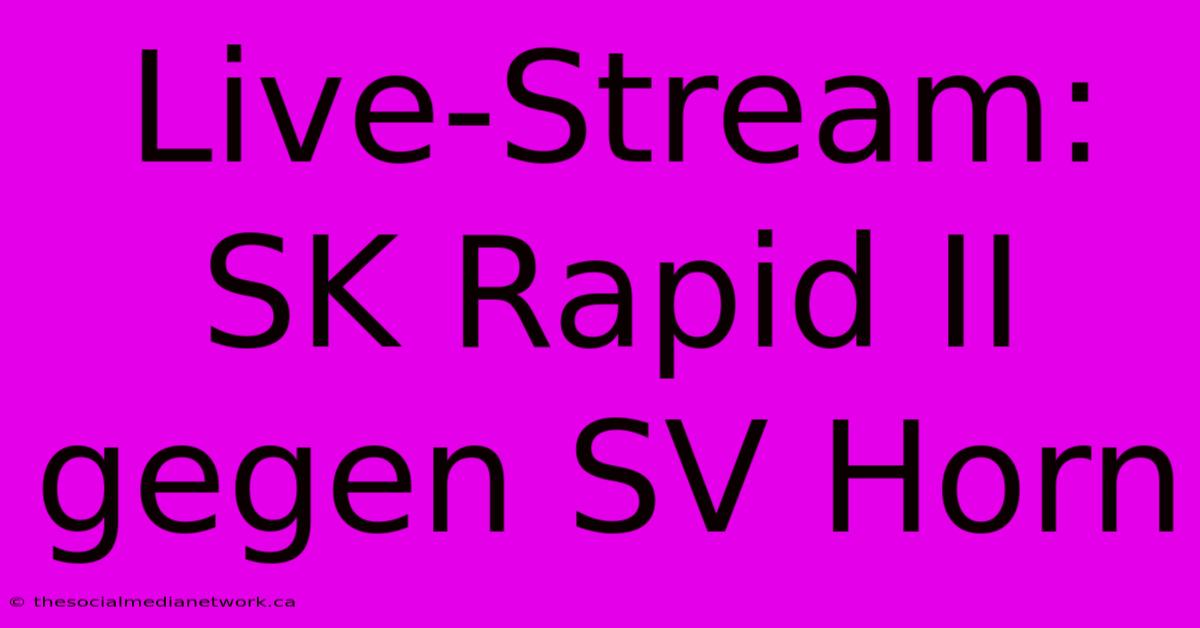 Live-Stream: SK Rapid II Gegen SV Horn