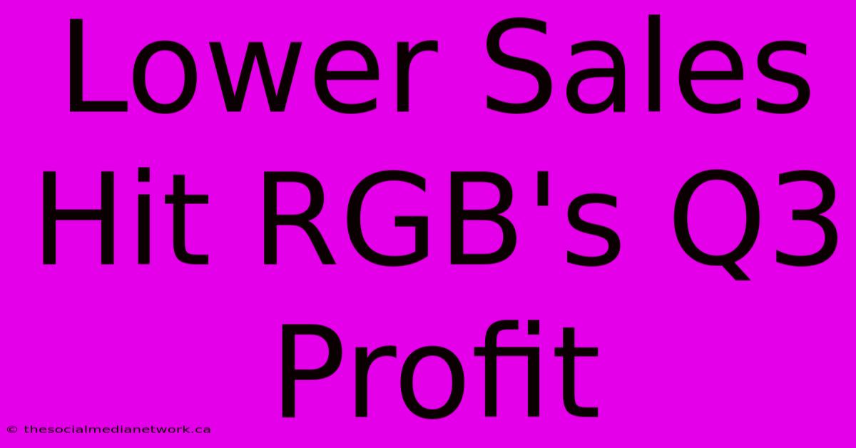 Lower Sales Hit RGB's Q3 Profit