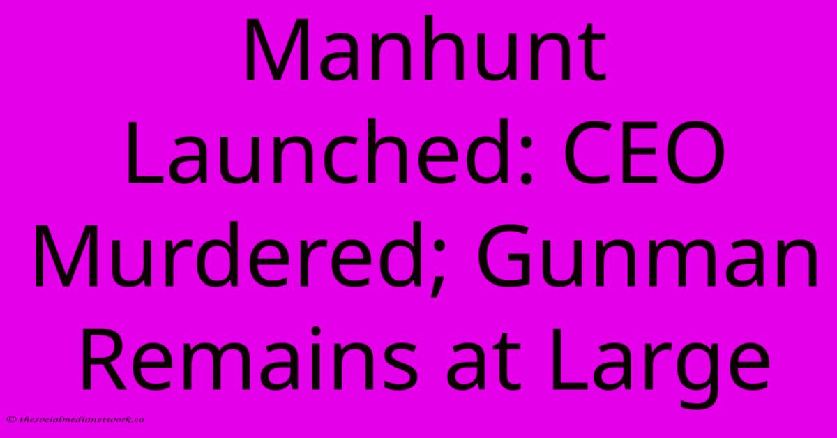 Manhunt Launched: CEO Murdered; Gunman Remains At Large