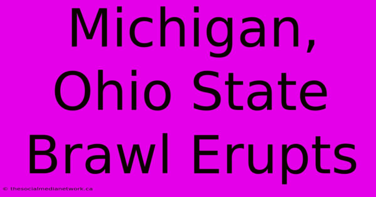 Michigan, Ohio State Brawl Erupts