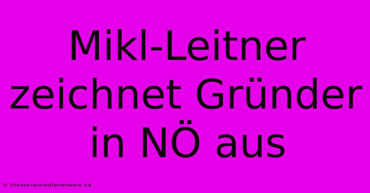 Mikl-Leitner Zeichnet Gründer In NÖ Aus