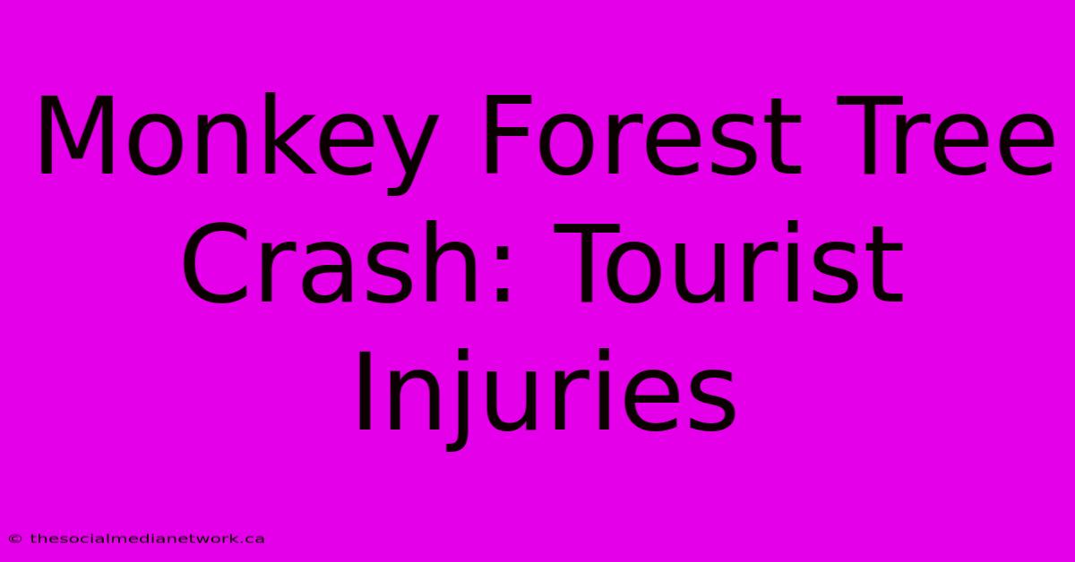 Monkey Forest Tree Crash: Tourist Injuries