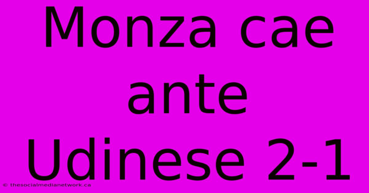 Monza Cae Ante Udinese 2-1