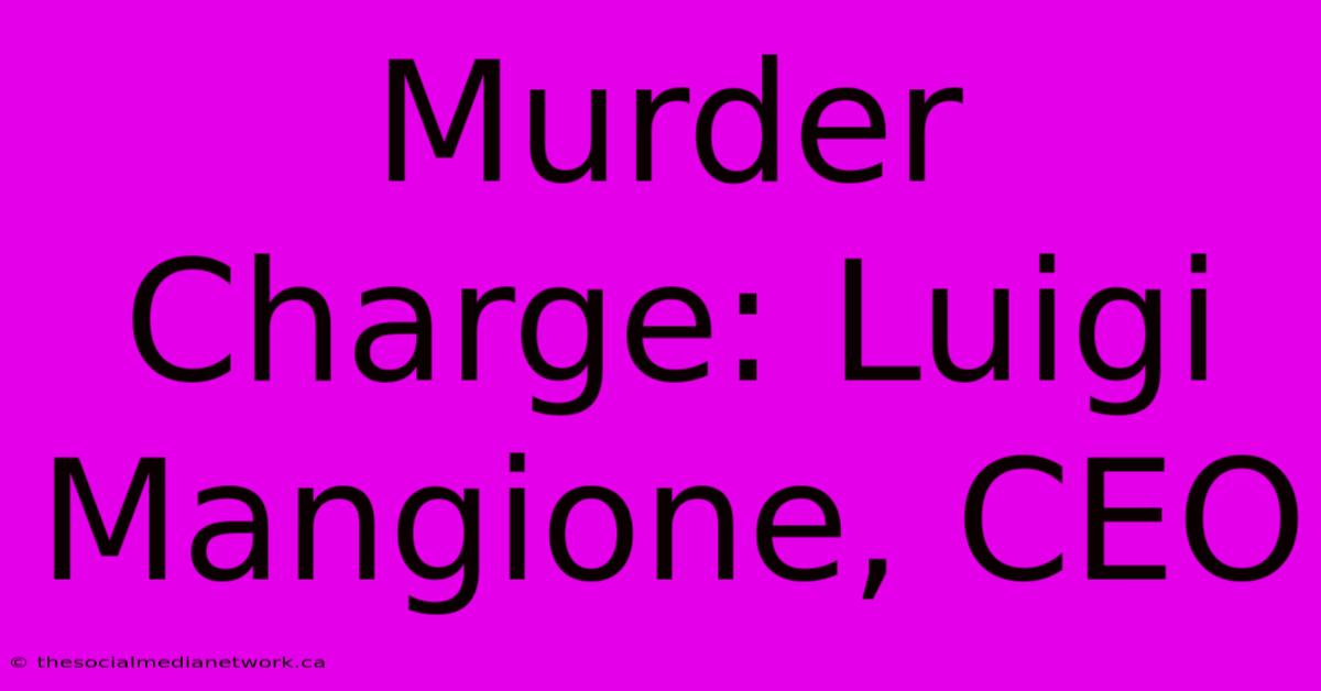 Murder Charge: Luigi Mangione, CEO