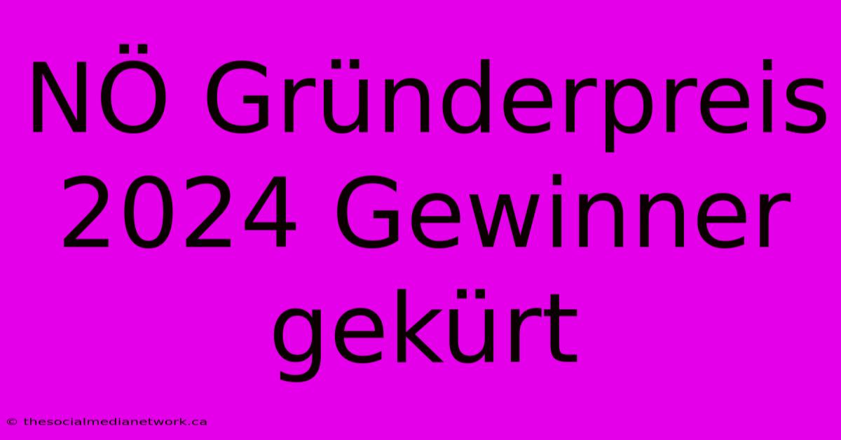 NÖ Gründerpreis 2024 Gewinner Gekürt