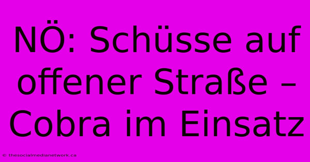 NÖ: Schüsse Auf Offener Straße – Cobra Im Einsatz