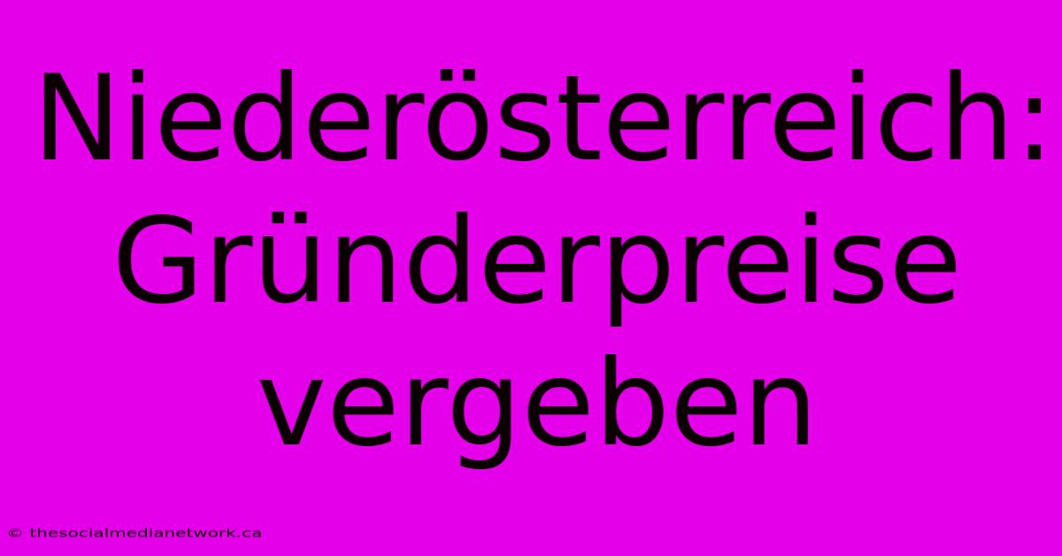 Niederösterreich: Gründerpreise Vergeben