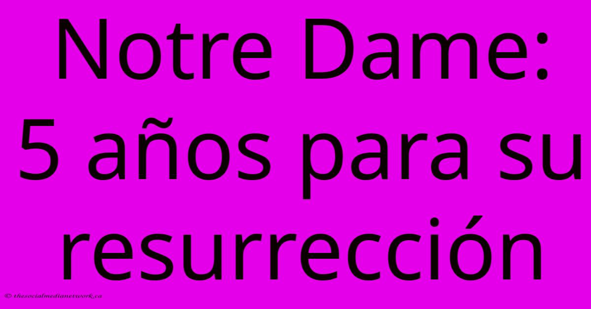 Notre Dame: 5 Años Para Su Resurrección Notre Dame: 5 Años Para Su Resurrección