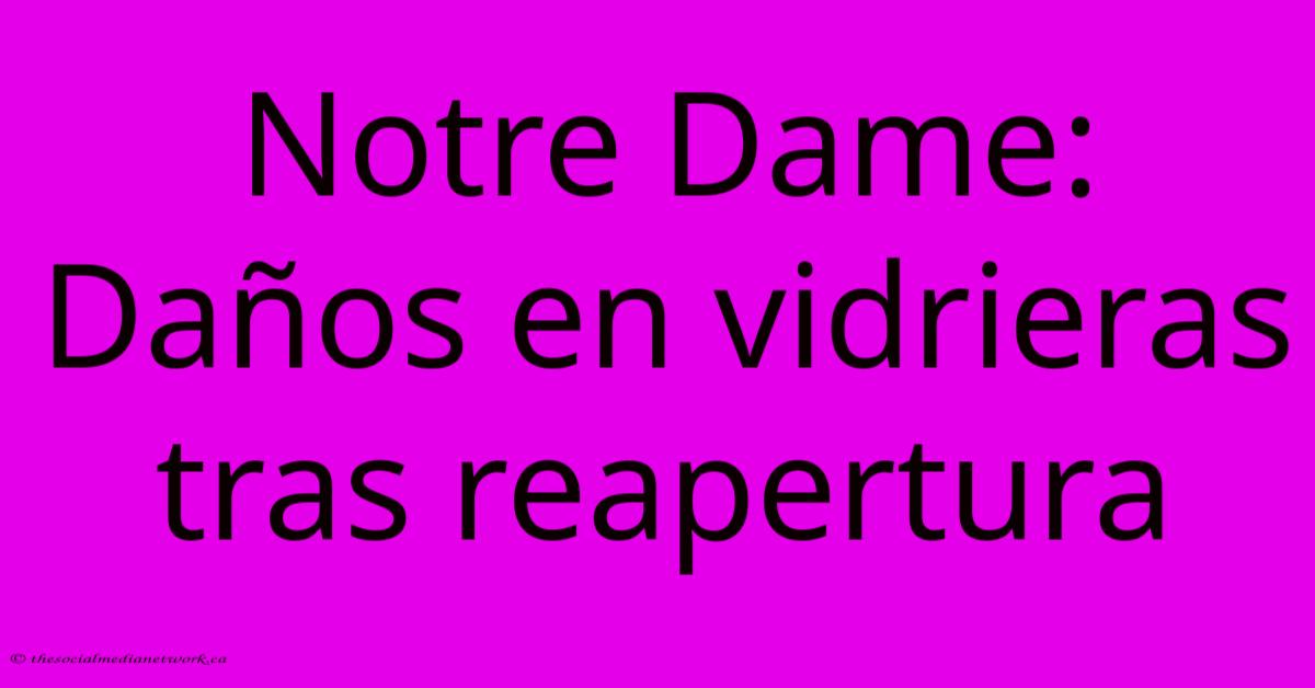Notre Dame: Daños En Vidrieras Tras Reapertura Notre Dame: Daños En Vidrieras Tras Reapertura