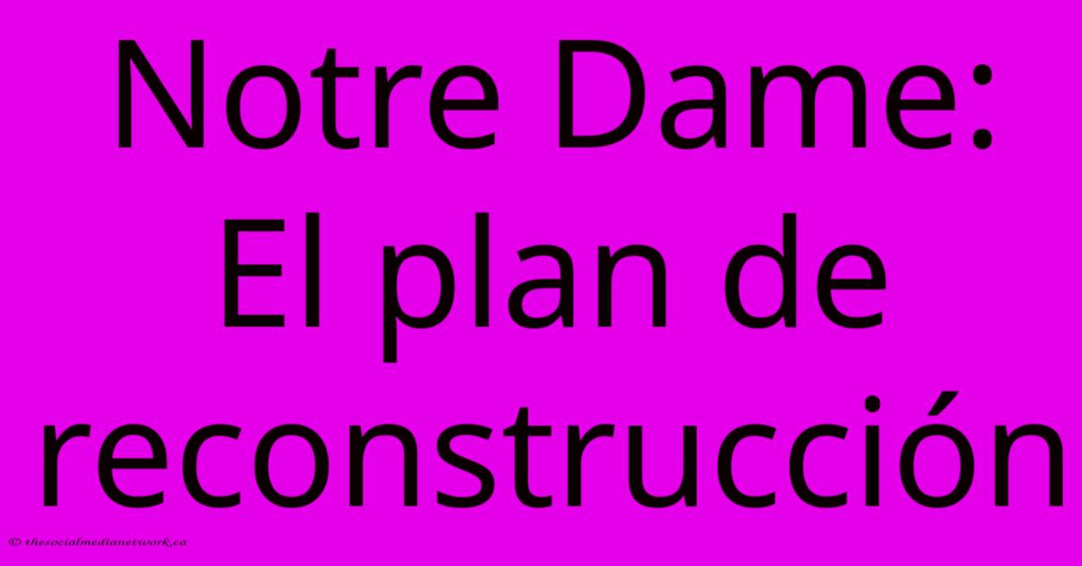 Notre Dame: El Plan De Reconstrucción Notre Dame: El Plan De Reconstrucción