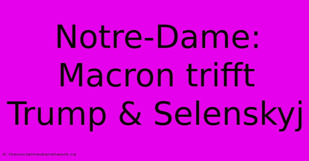 Notre-Dame: Macron Trifft Trump & Selenskyj