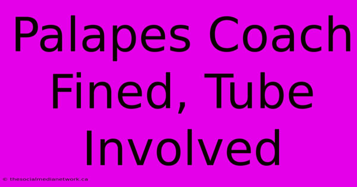 Palapes Coach Fined, Tube Involved