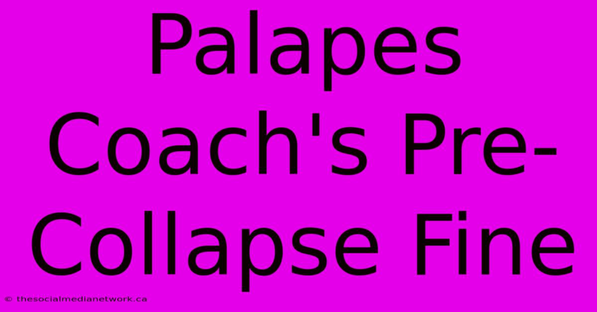 Palapes Coach's Pre-Collapse Fine