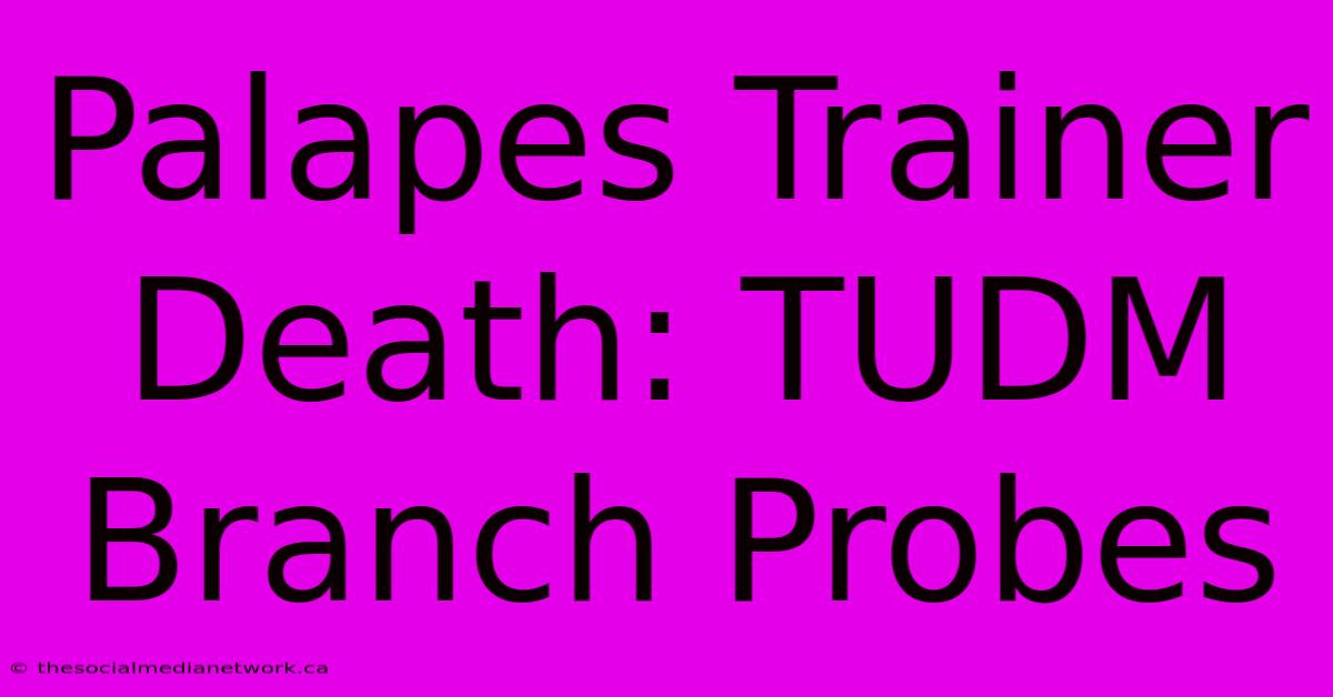 Palapes Trainer Death: TUDM Branch Probes