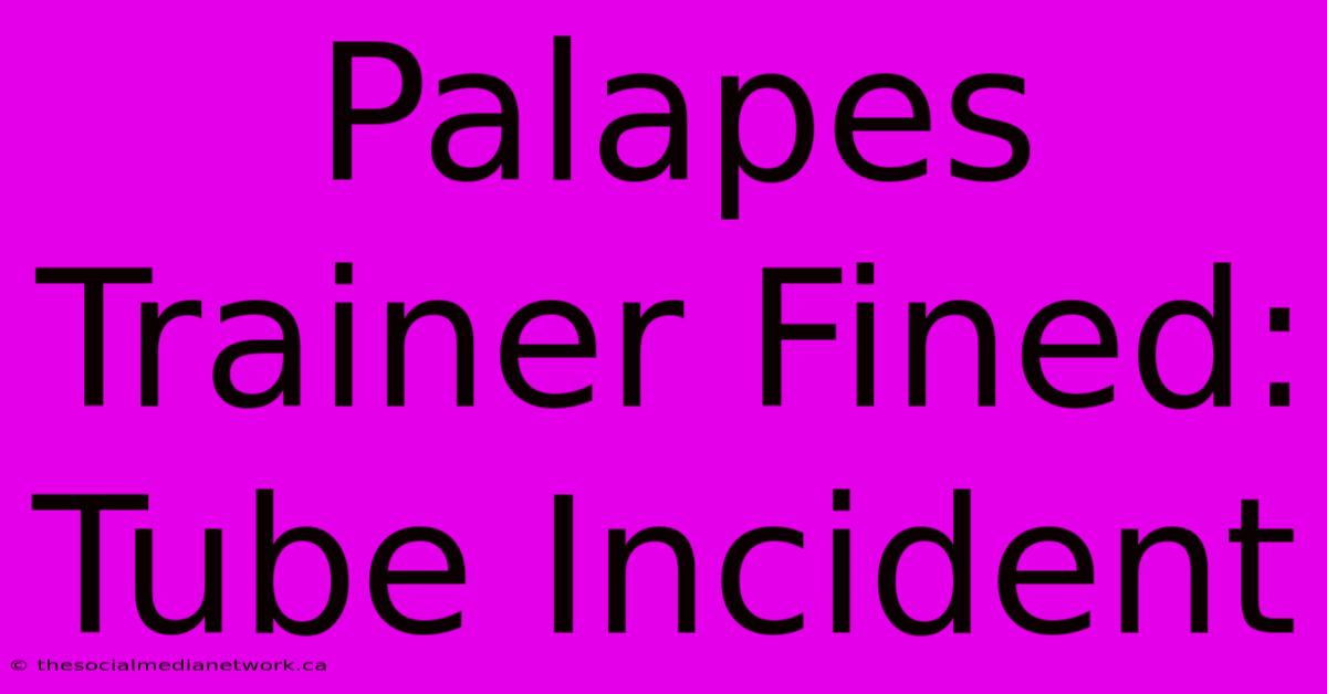 Palapes Trainer Fined: Tube Incident