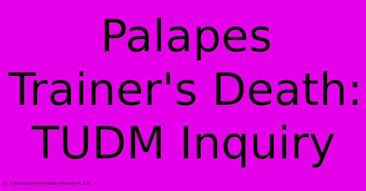 Palapes Trainer's Death: TUDM Inquiry