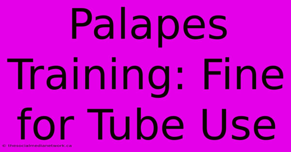 Palapes Training: Fine For Tube Use