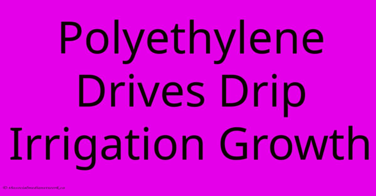 Polyethylene Drives Drip Irrigation Growth Polyethylene Drives Drip Irrigation Growth