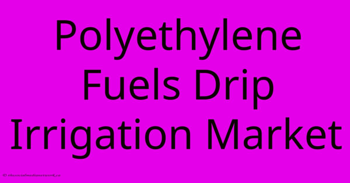 Polyethylene Fuels Drip Irrigation Market Polyethylene Fuels Drip Irrigation Market