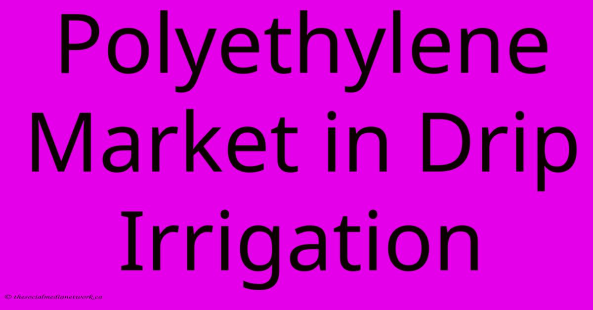 Polyethylene Market In Drip Irrigation Polyethylene Market In Drip Irrigation