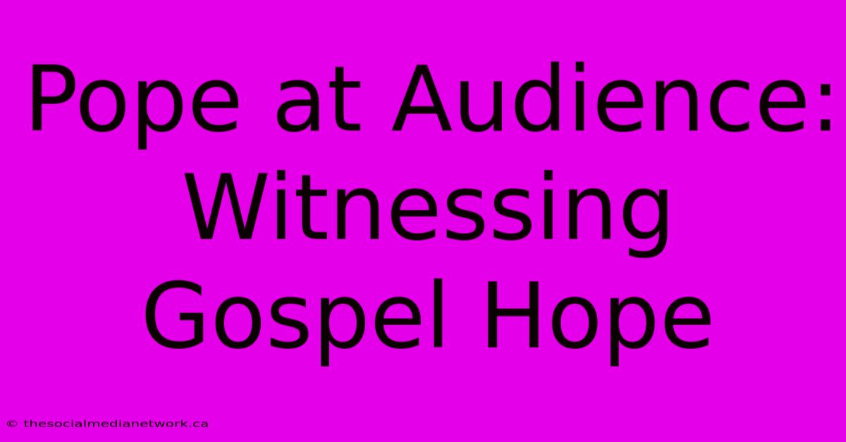 Pope At Audience: Witnessing Gospel Hope